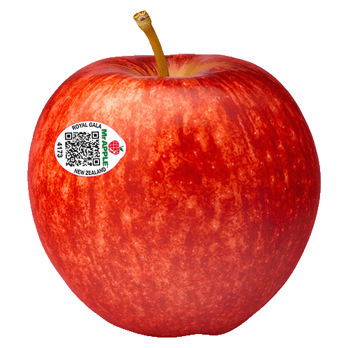 apple-qr